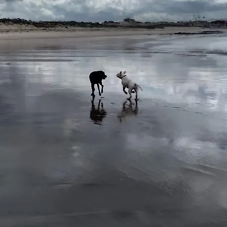 Azurara Vila do Conde