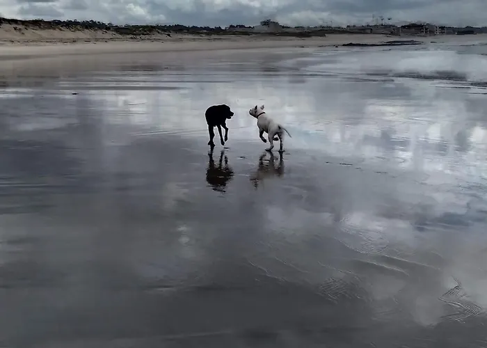 Azurara Vila do Conde